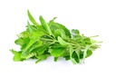 Basil Holy