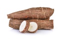 Cassava