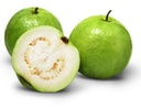 Guava