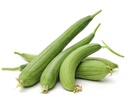 Melon Luffa