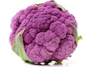 Cauliflower Purple