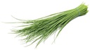 Chive English Sliced