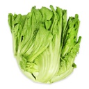 Mustard Kai Choy ea