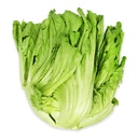 Mustard Kai Choy box